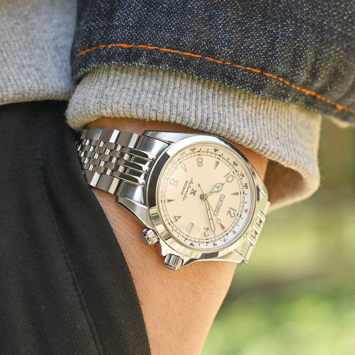 20mm Asteroid Watch Band for Seiko Alpinist SARB017, 316L Stainless Steel Brushed and Polished V-Clasp